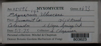 Image Associated With the Occurence
